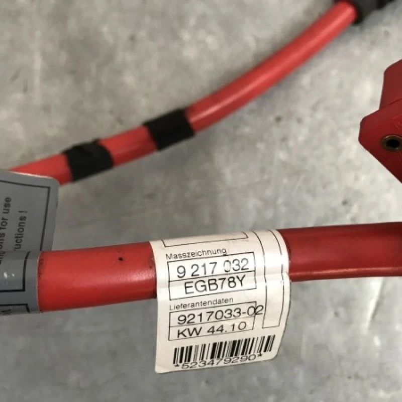 Borna baterie plus / BMW Seria 7 F01 2011 / Audio si electronice