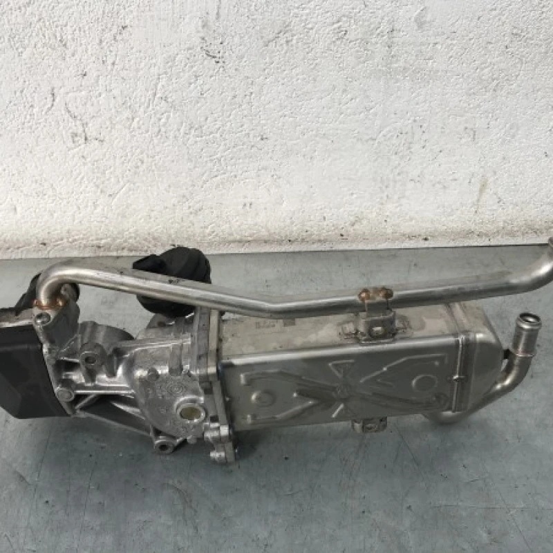 Racitor gaze egr Volkswagen 