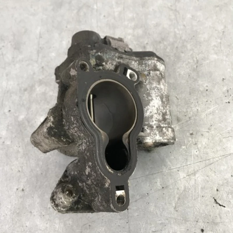Egr Nissan 