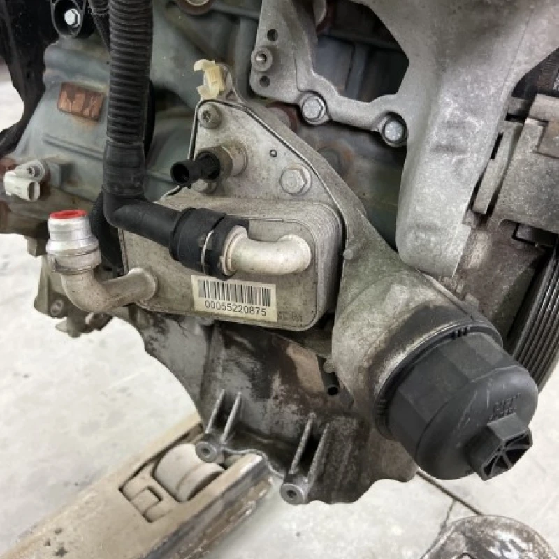 Racitor ulei termoflot Suzuki 