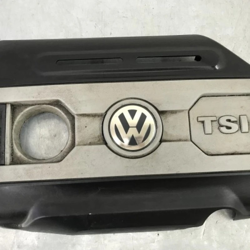 Capac motor Volkswagen Passat B6 2009