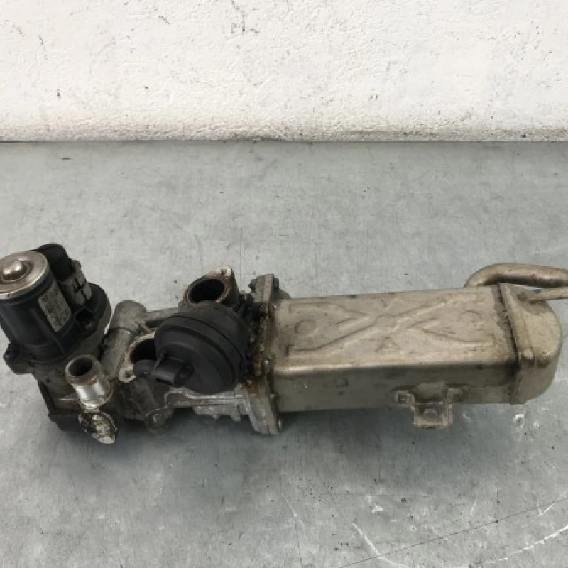 Racitor gaze egr Volkswagen 