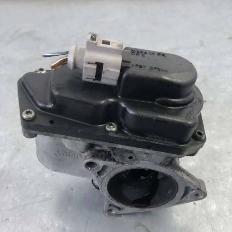 Egr Volkswagen 
