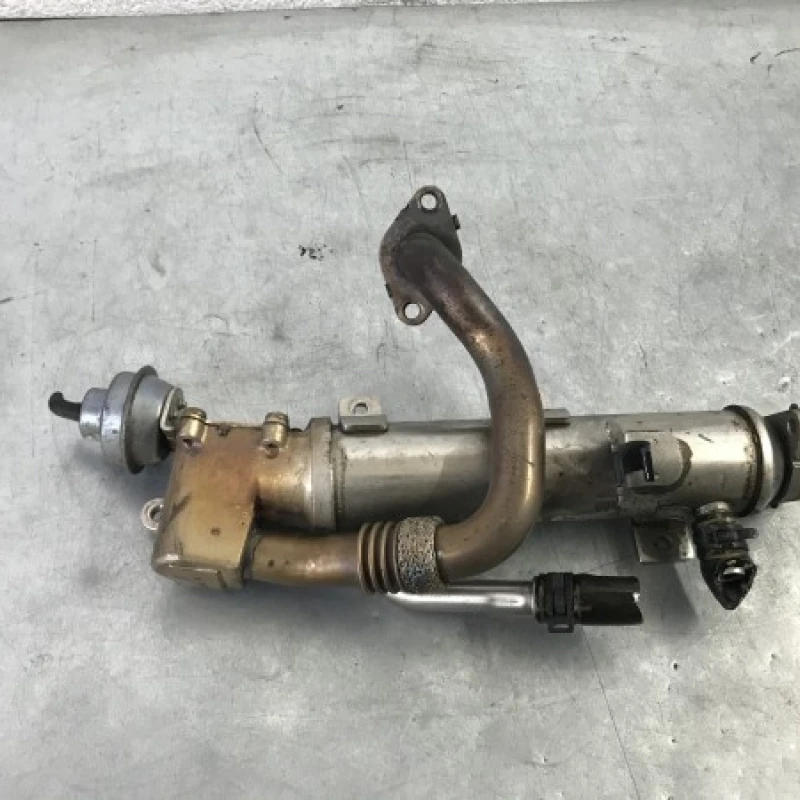 Racitor gaze egr Audi 