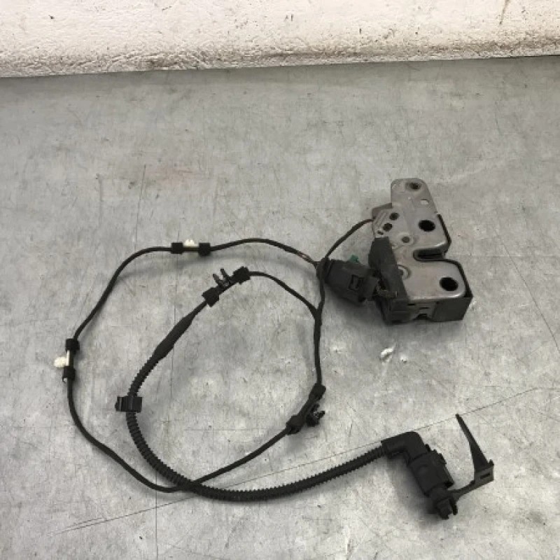 Iala broasca capota Volkswagen Passat B7 2012