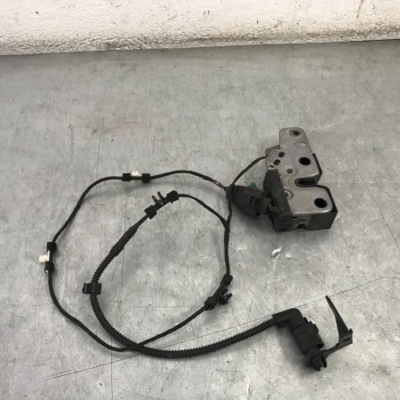 Iala broasca capota Volkswagen 