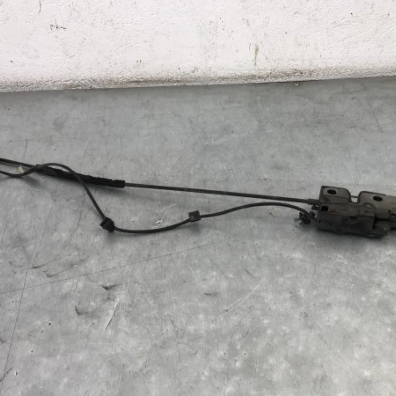 Iala broasca capota Volkswagen 