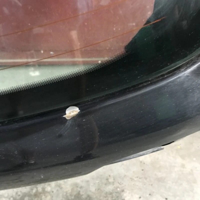Haion / Audi A3 8P 2010 / Caroserie, oglinzi si faruri