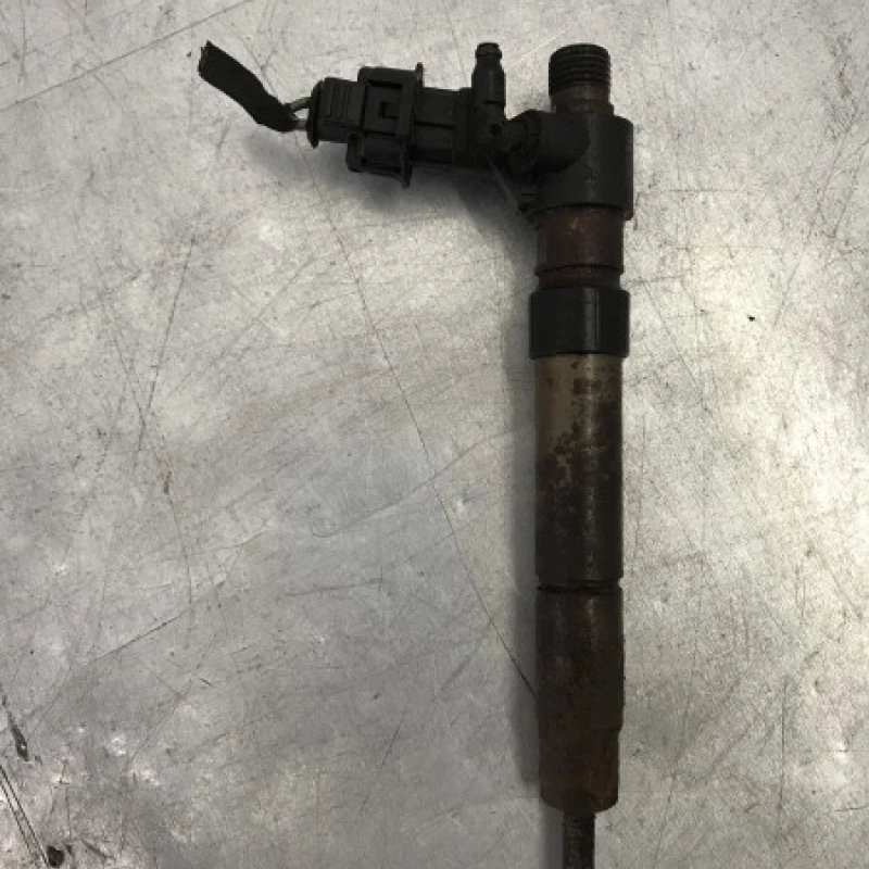 Injector Ford 
