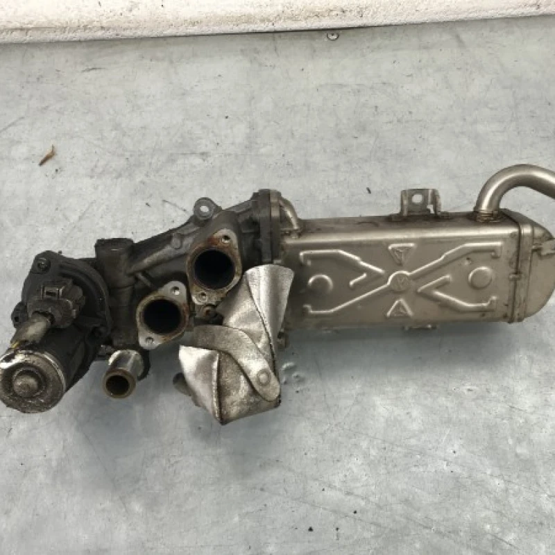 Racitor gaze egr Volkswagen 