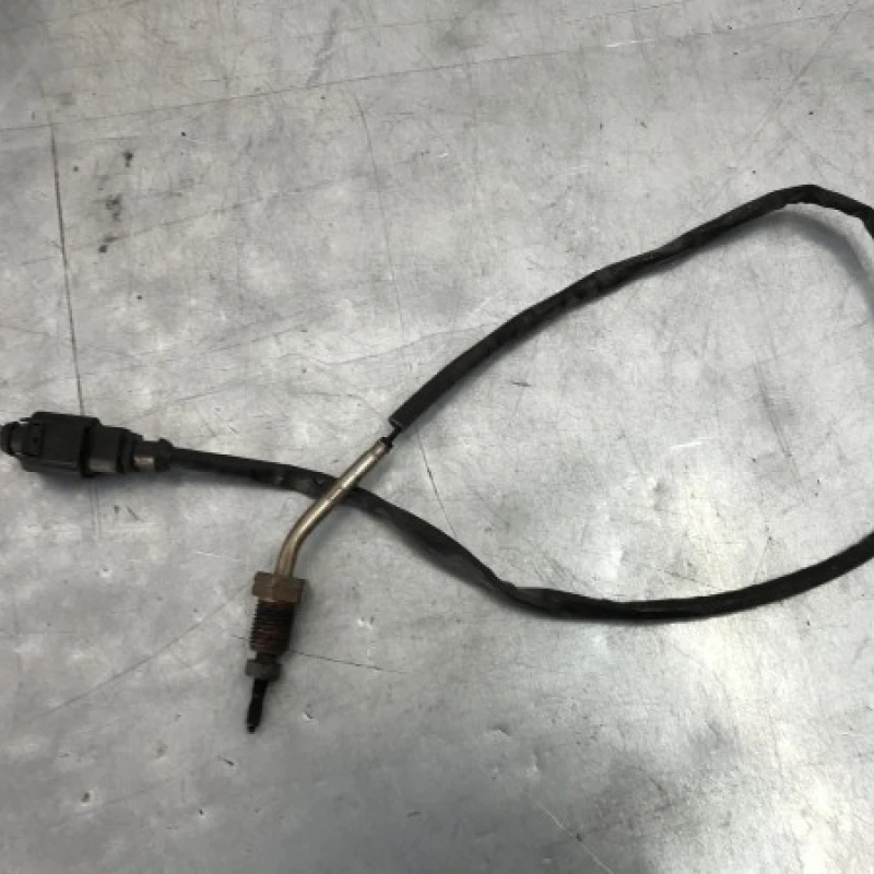 Sonda temperatura gaze Volkswagen 