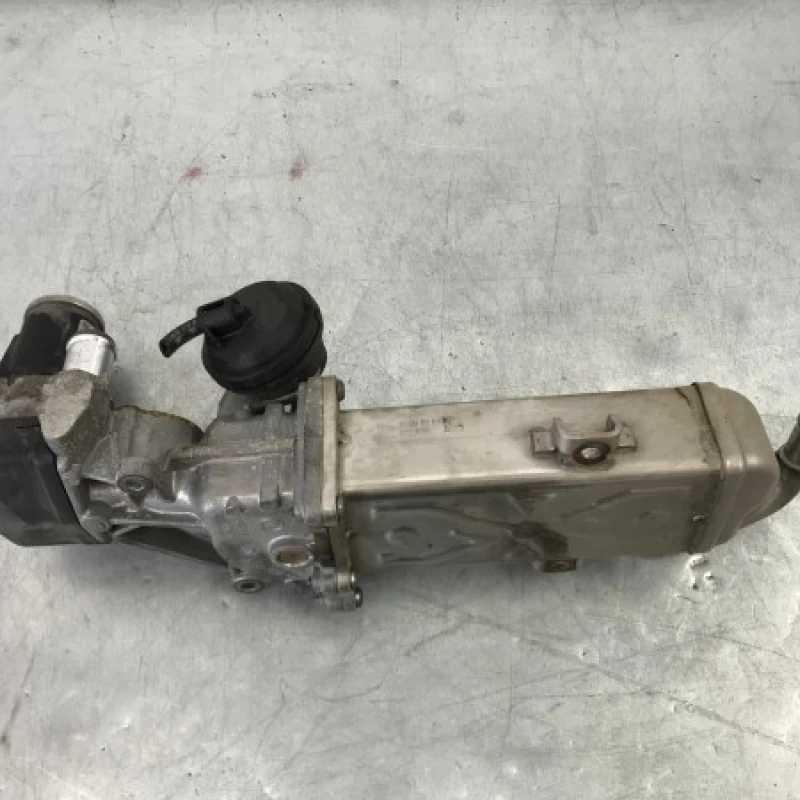 Racitor gaze egr Volkswagen 