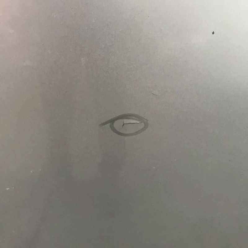 Capota / Volkswagen Passat B6 2008 / Caroserie, oglinzi si faruri