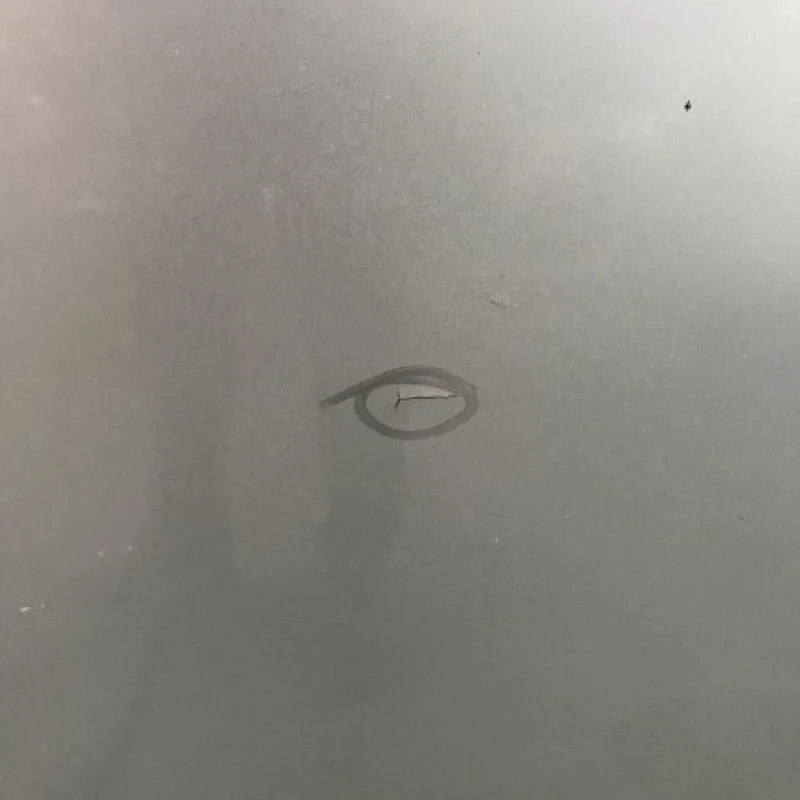 Capota / Volkswagen Passat B6 2008 / Caroserie, oglinzi si faruri