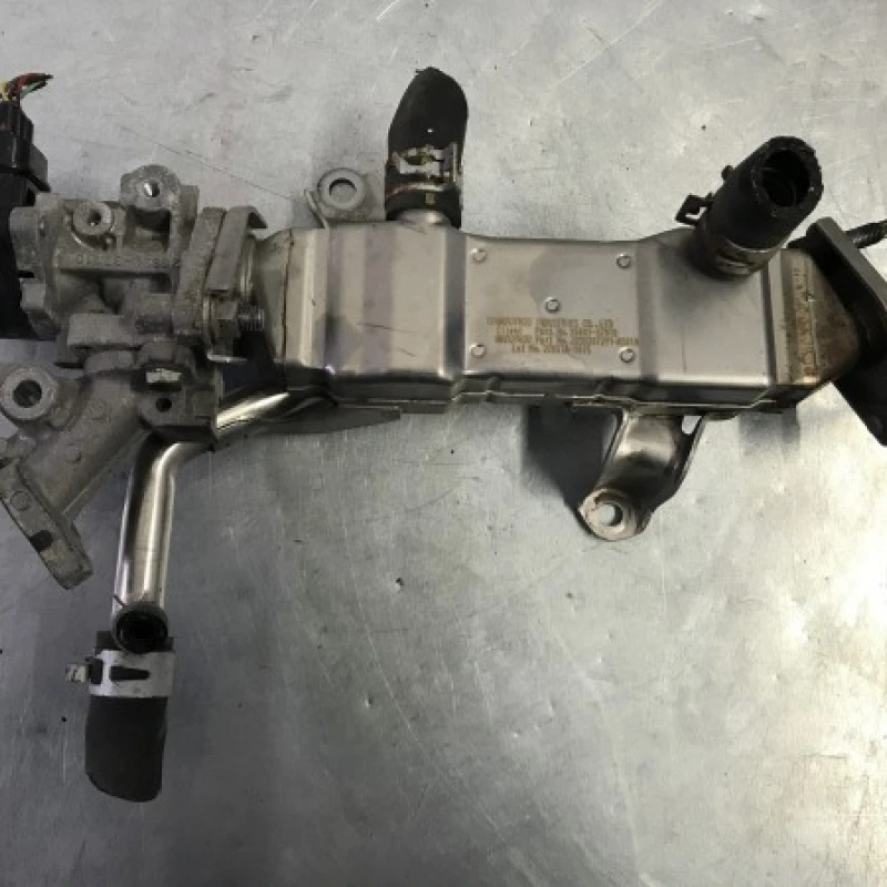 Racitor gaze egr Lexus 