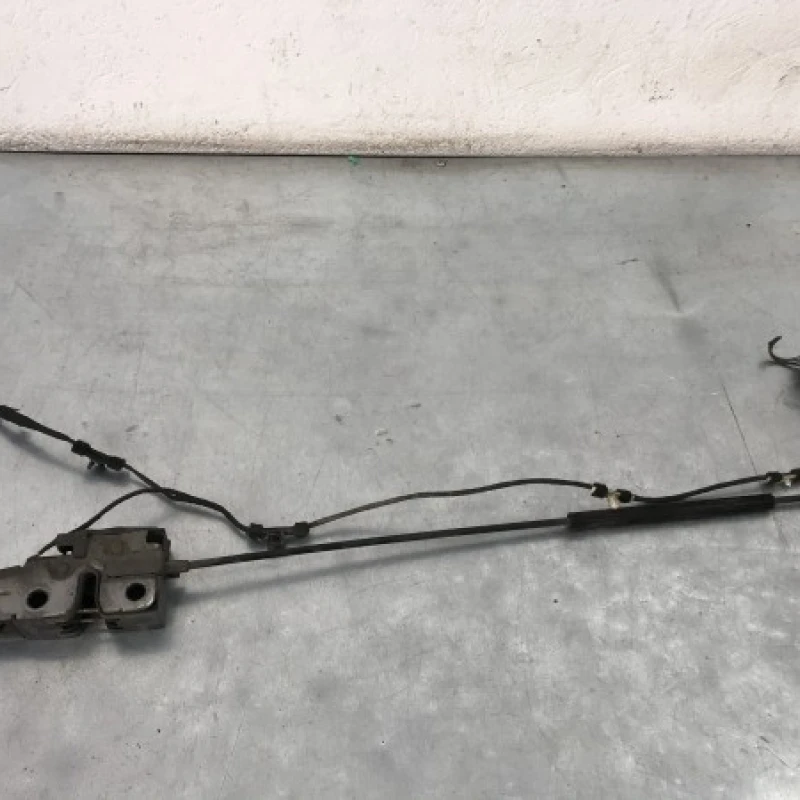Iala broasca capota Volkswagen 