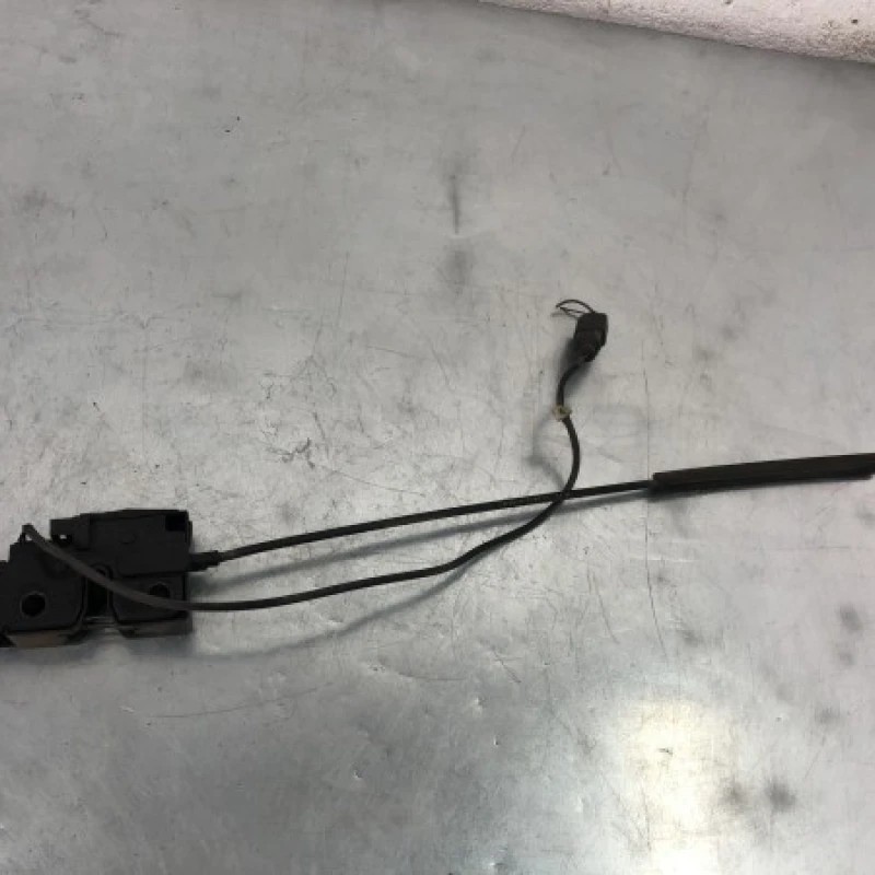Iala broasca capota / Volkswagen Passat B6 2006 / Caroserie, oglinzi si faruri