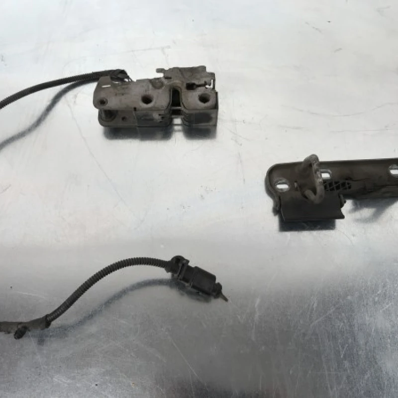 Iala broasca capota Volkswagen 