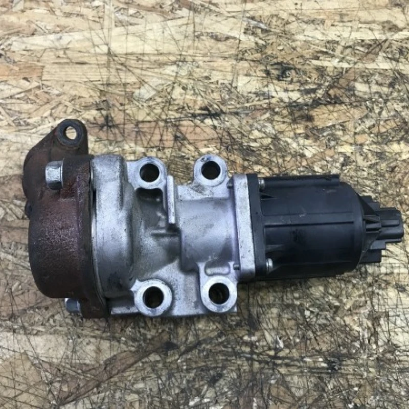 EGR Mitsubishi 