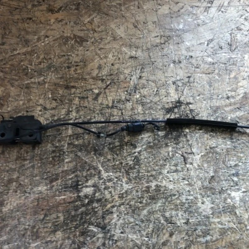 Iala broasca capota fata / Volkswagen Passat B6 2006 / Caroserie, oglinzi si faruri