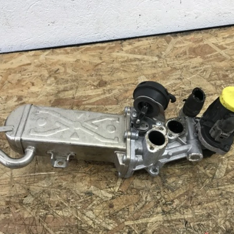 Racitor gaze EGR Volkswagen 