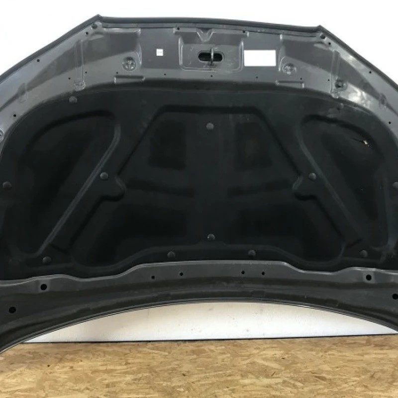 Capota / Hyundai Santa Fe Santa Fe 2010 / Caroserie, oglinzi si faruri