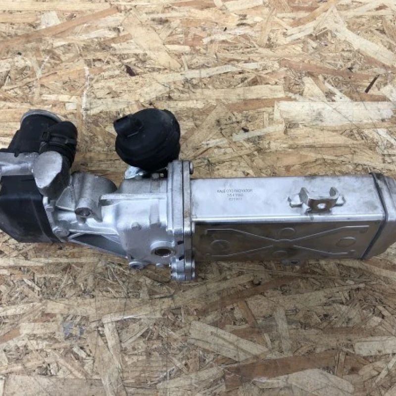 Racitor gaze egr Volkswagen 