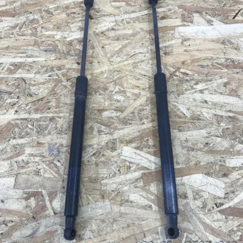 Set amortizoare portbagaj Volkswagen Passat B6 2010