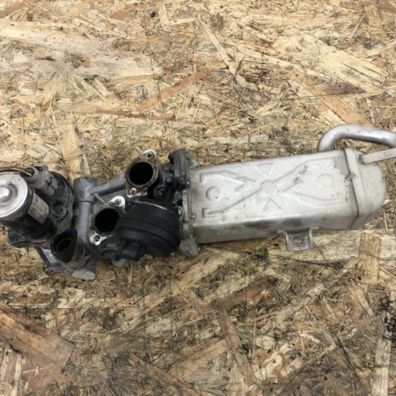 Racitor gaze EGR Volkswagen 