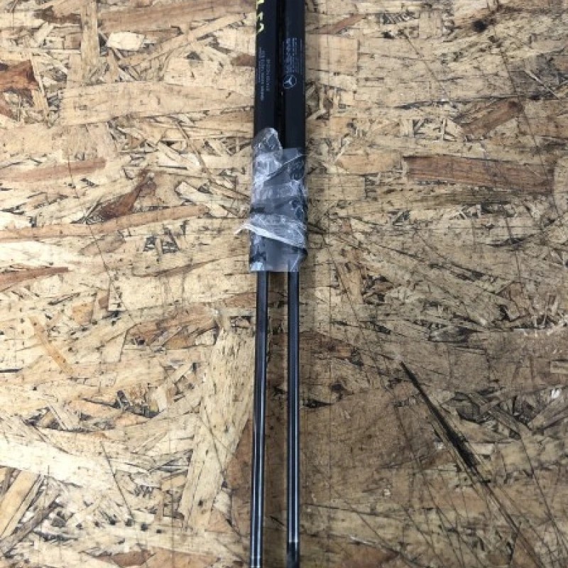 Telescoape haion Mercedes-Benz A Class W169 2010