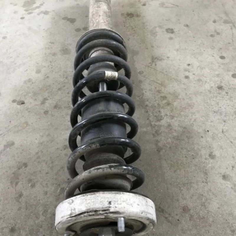 Amortizor cu arc spate stg / BMW Seria 5 E60 2009 / Directie si suspensie