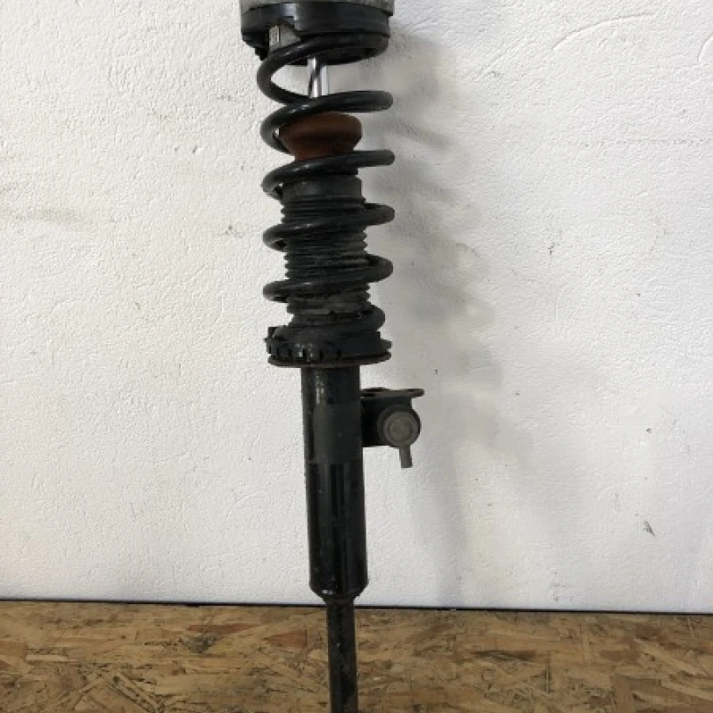 Amortizor telescop stanga fata / BMW Seria 5 F10 2012 / Directie si suspensie