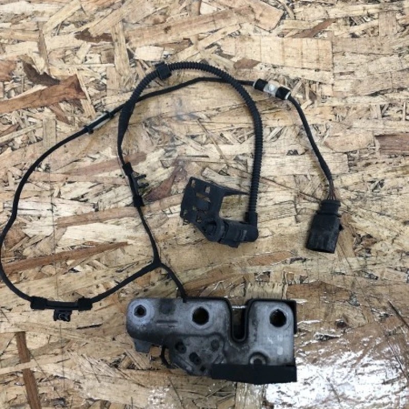 Iala broasca capota Volkswagen Passat B7 2013