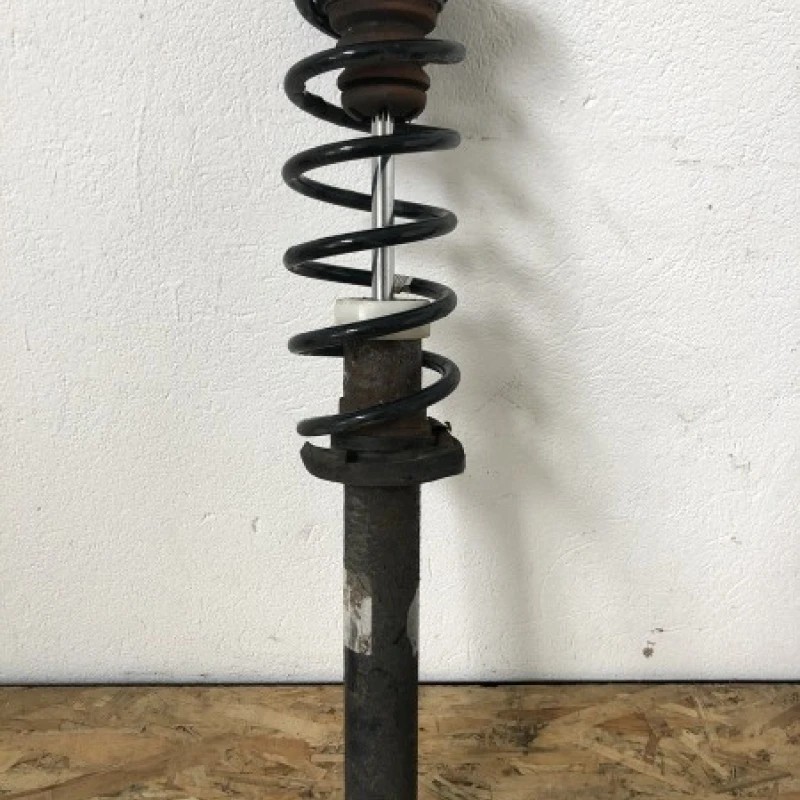 Amortizor telescop spate / BMW Seria 5 F10 2010 / Directie si suspensie
