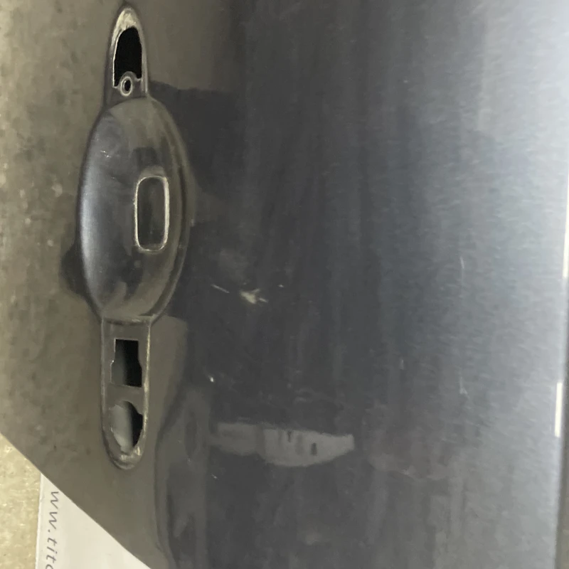 Usa stanga fata / Renault Scenic III 2010 / Caroserie, oglinzi si faruri