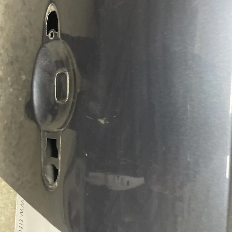 Usa stanga fata / Renault Scenic III 2010 / Caroserie, oglinzi si faruri