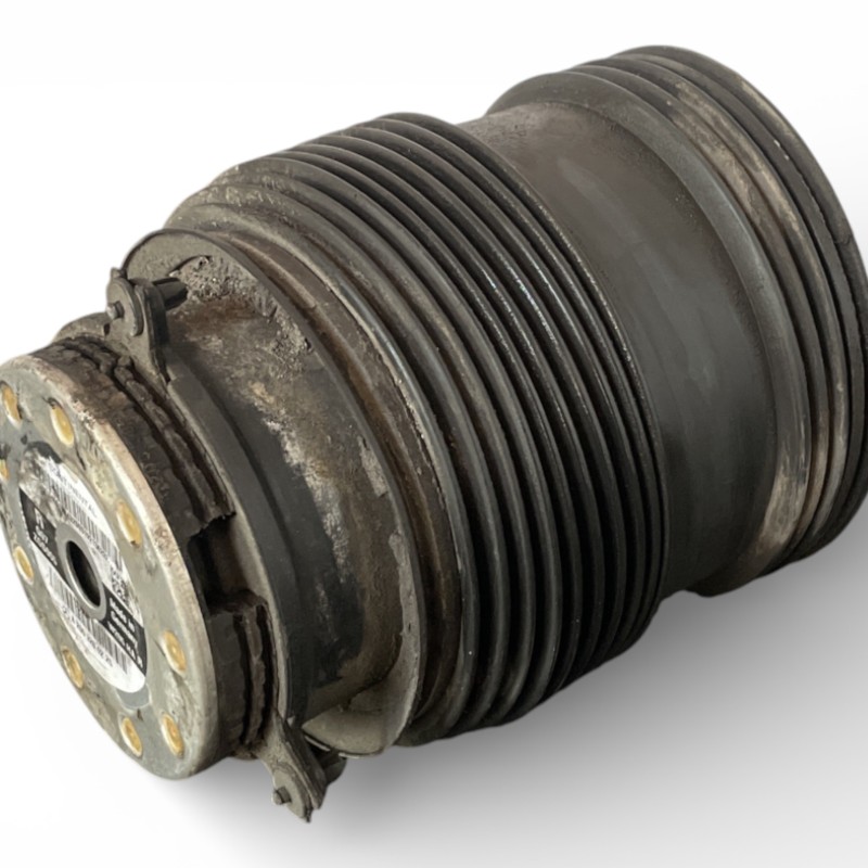 Perna aer dreapta spate / Mercedes-Benz E Class W213 2020 / Directie si suspensie