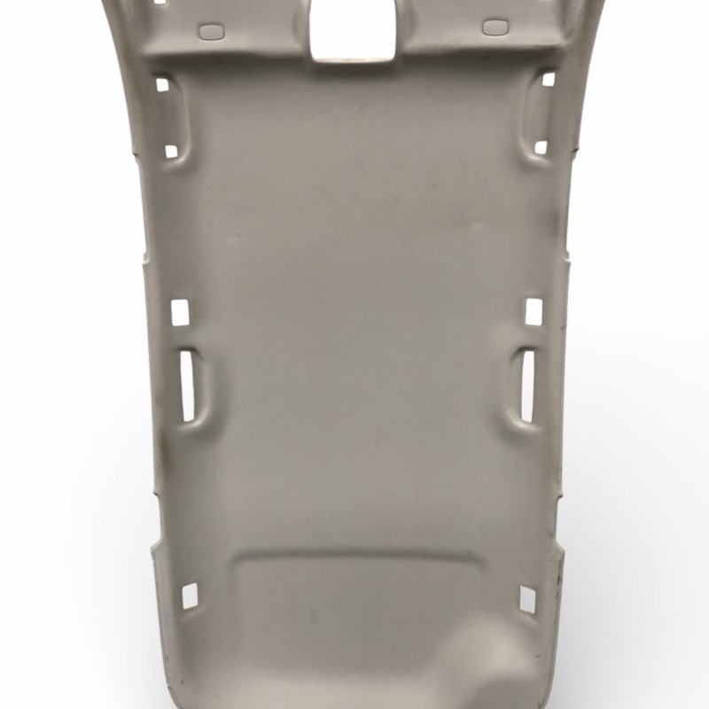 Plafon / Mercedes-Benz E Class W213 2020 / Interior