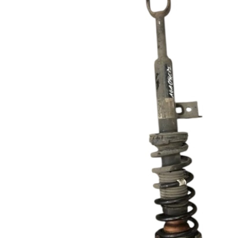 Amortizor telescop stanga fata BMW Seria 5 F11 2010