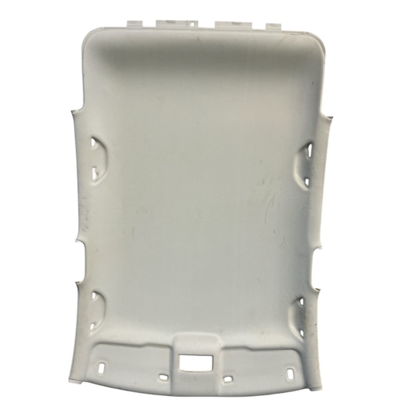 Plafon / Volkswagen Polo 6R 2013 / Interior