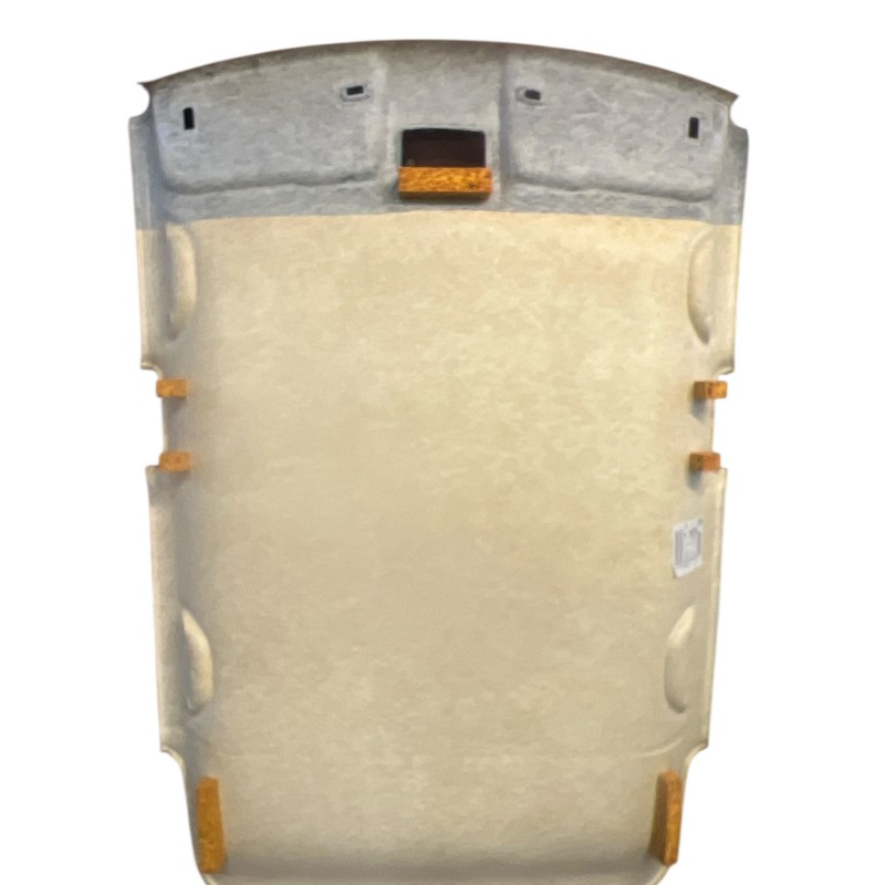 Plafon / Volkswagen Polo 6R 2013 / Interior