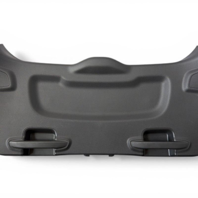 Ornament haion / Ford Focus MK3 2015 / Interior