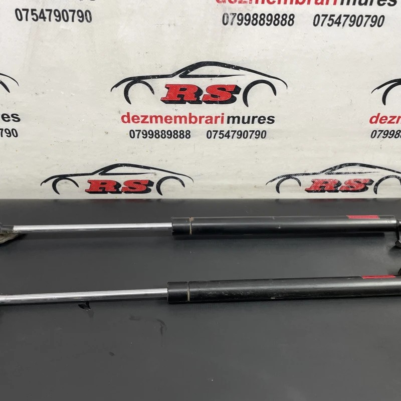 Amortizor capota Lexus RX 400h XU30 2007