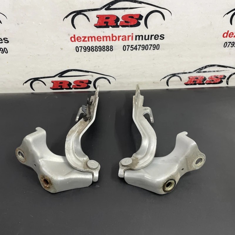 Balamale capota / Lexus RX 400h XU30 2007 / Caroserie, oglinzi si faruri