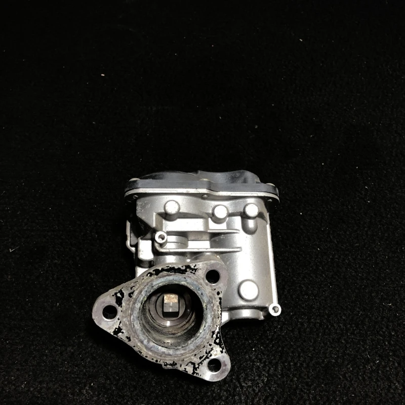 Egr Nissan 
